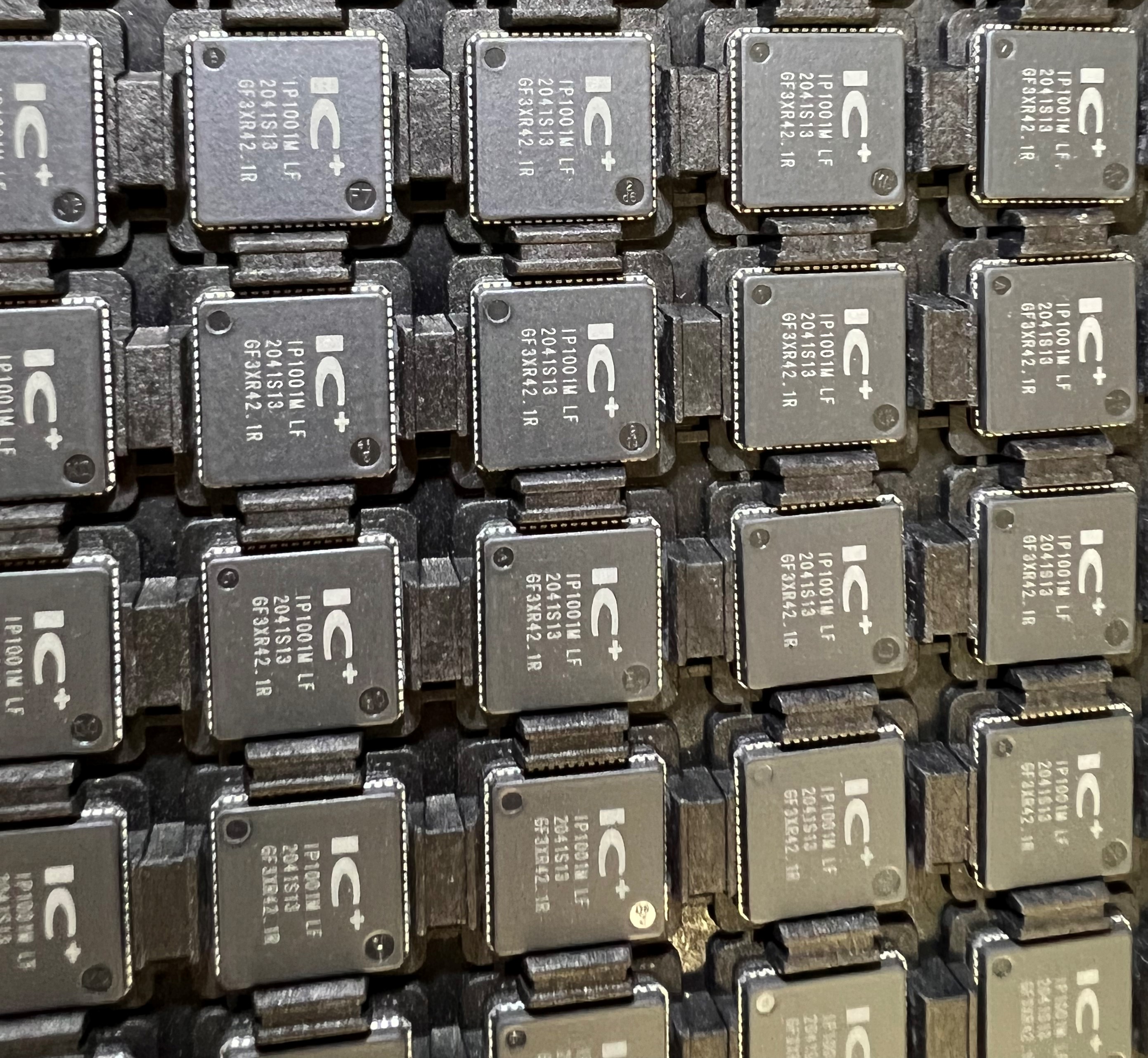 IP1001M LF